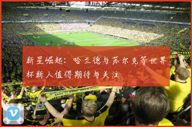 新星崛起：哈兰德与苏尔克等世界杯新人值得期待与关注
